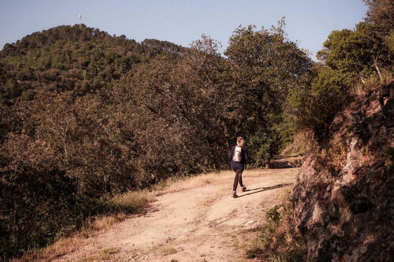 Slow Village Anduze Corbés Dış mekan fotoğraf
