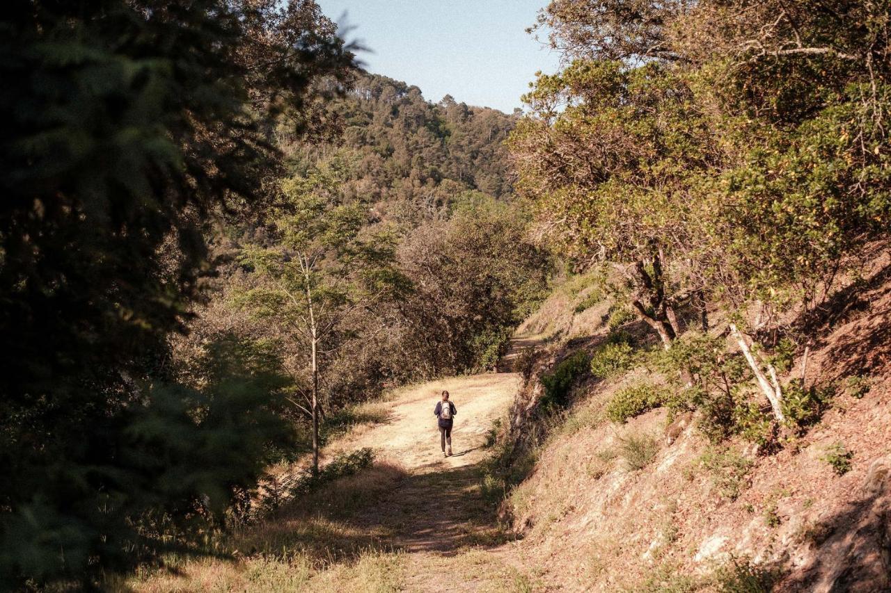 Slow Village Anduze Corbés Dış mekan fotoğraf