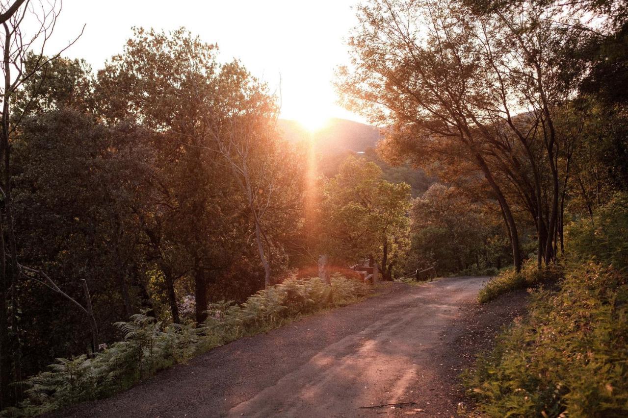 Slow Village Anduze Corbés Dış mekan fotoğraf